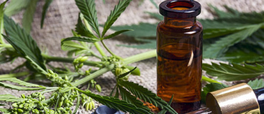 CBD thérapeutique
