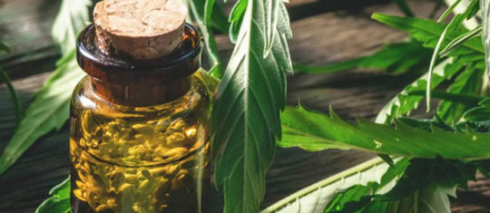 Usage du CBD